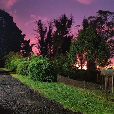 Natures Retreat Hotels And Resorts Ooty Exterior photo