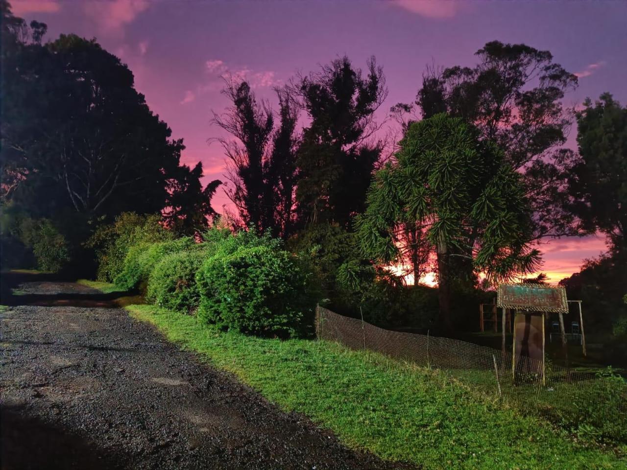 Natures Retreat Hotels And Resorts Ooty Exterior photo